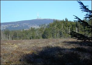 File:Nationalpark-harz.jpg